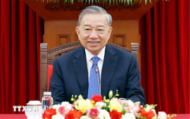 Party, State leader To Lam holds phone call with Japanese Prime Minister