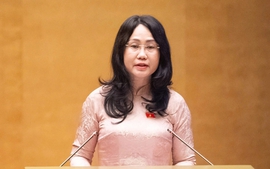 Gov’t proposes Viet Nam Culture Day as paid day off