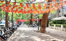 Ha Noi: Local pavements cleared in urban order crackdown