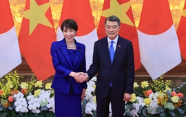Vietnamese, Japanese Prime Ministers hold talks in Ha Noi