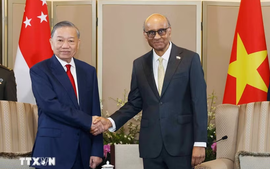Top Vietnamese leader holds talks with Singaporean President