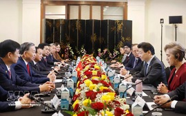 Viet Nam prioritizes tech and innovation cooperation with Singapore