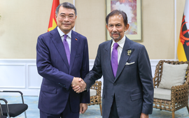 Prime Minister meets Sultan of Brunei in Cebu