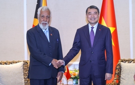 Prime Minister Le Minh Hung meets Timor-Leste Prime Minister, ADB President in Cebu