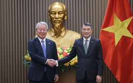 Viet Nam seeks Japan's new-generation ODA loans with more favorable terms