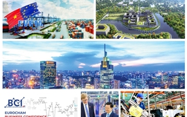 EuroCham Chairman has no doubt Viet Nam will materialize double-digit growth goal