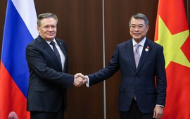 Rosatom stands ready to support Viet Nam in developing nuclear industry