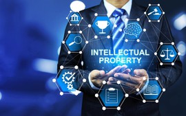 Politburo orders promoting intellectual property work in favor of socio-economic development