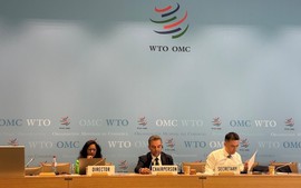 Viet Nam prepares for negotiations to join Information Technology Agreement expansion
