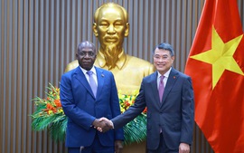 Viet Nam, Angola should create legal foundation for bilateral cooperation