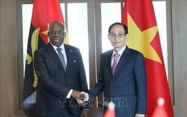 Vietnamese, Angolan Foreign Ministers hold talks in Ha Noi