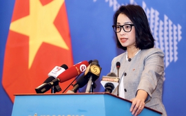 Viet Nam respects freedom of navigation, overflight in East Sea