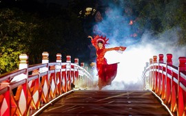 Ha Noi mulls over establishment of entertainment zones to boost night-time economy