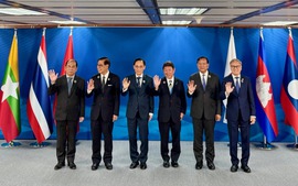 Viet Nam, Japan co-chair 17th Mekong-Japan Foreign Ministers' Meeting