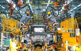 Viet Nam's manufacturing PMI posts 51.8 in June