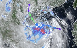 Viet Nam braces for first tropical storm in 2026