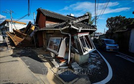 Viet Nam sends sympathy over earthquake in Japan