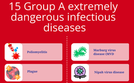 Health ministry renews list of infectious diseases
