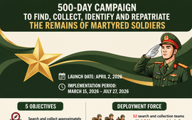 Infographics: Initial outcomes of 500-day campaign race against time to identify fallen soldiers