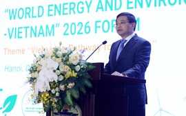 Business community key to Viet Nam's Net Zero journey: Deputy Prime Minister