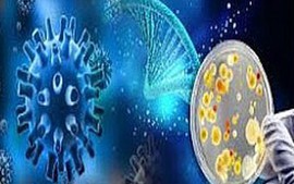 Gov’t approves biotechnology development plan in agriculture and environment
