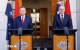 Viet Nam-Australia Joint Statement on strengthening science, technology and innovation connectivity