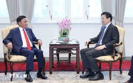 Singapore highly values Viet Nam's development prospect: Prime Minister Lawrence Wong