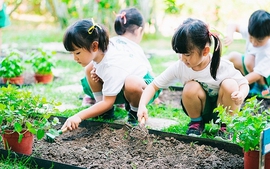 Gov’t adopts action program on environmental protection, climate resilience
