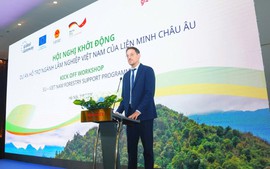 EU, Germany back Viet Nam's natural forest conservation