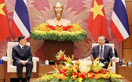 Top leader To Lam holds talks with Thai King