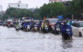 Flooding damages more than 10,000 ha of crops in northern, central localities