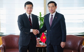 Viet Nam, U.S. step up cooperation in war legacy remediation