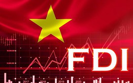 Gov’t issues action plan to develop FDI sector