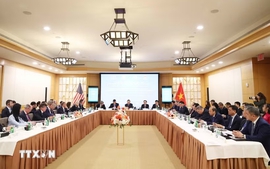 Vietnamese, U.S. businesses need to enhance quality of cooperation, technological content: To Lam