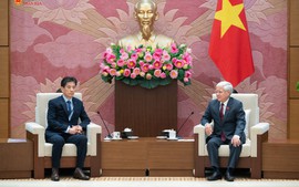 NA Standing Vice Chairman receives KOVECA delegation
