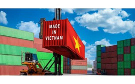 Viet Nam strengthens position in global supply chains