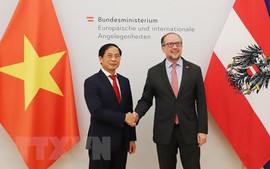 越南外交部部长裴青山对奥地利进行正式访问
