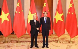 阮富仲总书记会见中国国务院总理李克强