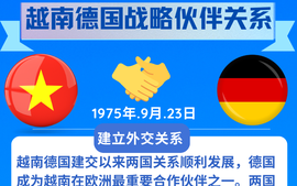一图了解：越南德国战略合作伙伴关系