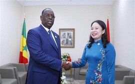 越南国家副主席武氏映春与各国领导举行双边会晤
