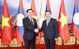 越南国会主席王廷惠与老挝国会主席赛宋蓬&#183;丰威汉举行会谈