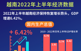 越南2022年上半年经济数据