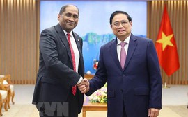 越南新加坡战略伙伴关系呈快速发展势头