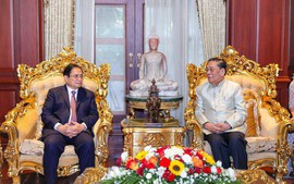 老挝前国家领导：越南老挝特殊团结关系是两国人民宝贵财富