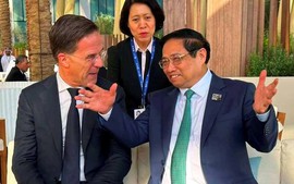 荷兰愿与越南加强合作，协助越南应对气候变化