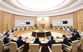 政府与地方视频会议和2022年12月政府定期会议的第05/NQ-CP号决议