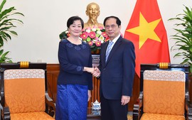 柬埔寨希望越南与其分享举办东南亚运动会经验