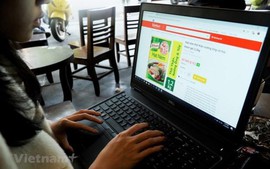 2025年越南互联网经济规模或达490亿美元