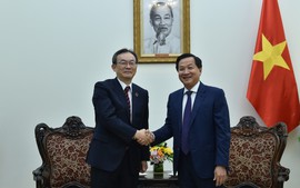 黎明慨副总理会见日本三菱日联银行执行董事
