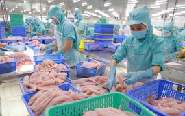 2023年前4月越南实现贸易顺差63.5亿美元